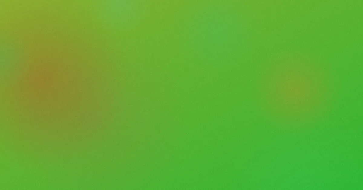 竹内有纪对比：一次复盘